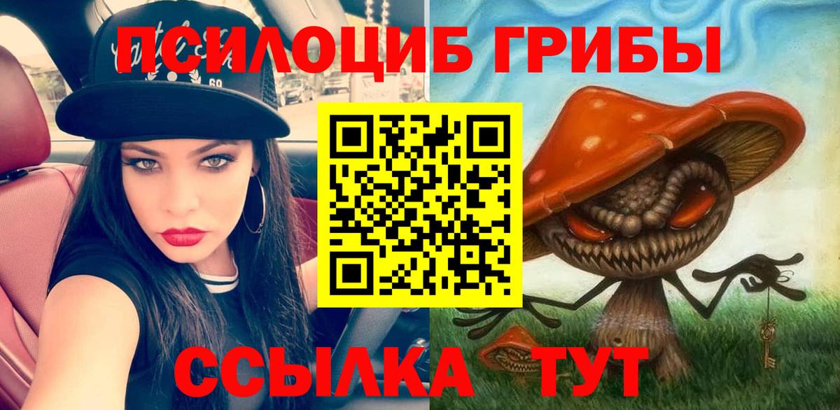 Псилоцибиновые грибы ЛСД  Псилоцибиновые грибы GOLDEN TEACHER  Вход с VPN  Выкса 