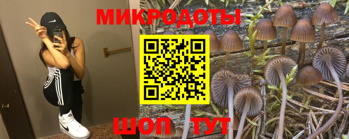 Галлюциногенные грибы Cubensis Выкса